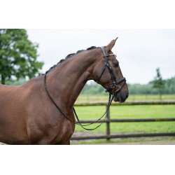 Bridon Kopenhagen HKM Negro