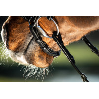 Bridon German HFI Castaño Marrón