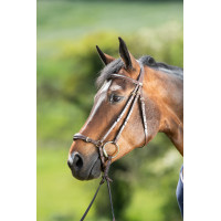 Bridon German HFI Castaño Marrón