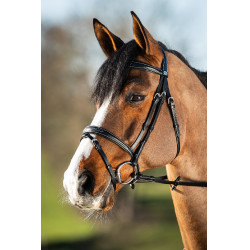 Brida HFI Elegant