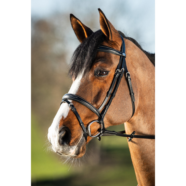 Brida HFI Elegant