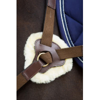 Pechopetral de 5 puntos HFI Castaño Marrón