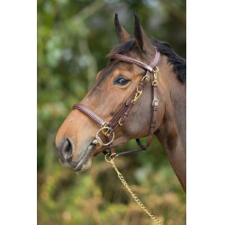 Kombination Trense / Halfter HFI Castaño Marrón
