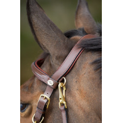 Kombination Trense / Halfter HFI Castaño Marrón