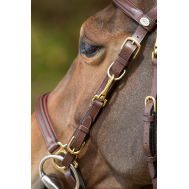 Kombination Trense / Halfter HFI Castaño Marrón