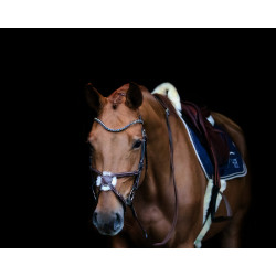 Frontal en V strass HFI Marrón / azul Marr&amp;amp;amp;oacute;n