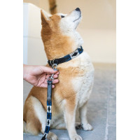 Correa para perro Polo HFI Negro / marino / plateado Motifs