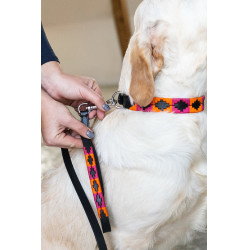 Correa para perro Polo HFI Correa para perro Polo HFI