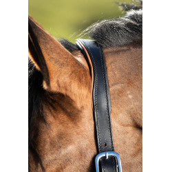 new Negro / coñac new Negro / coñac