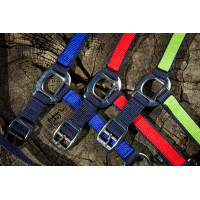 Cabezada de nailon HFI Marino / azul real