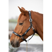 Cabezada HFI Polo Negro / marino / plateado