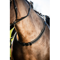 new Negro / negro new Negro / negro