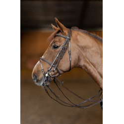 Brida de salto HFI Master doble salto