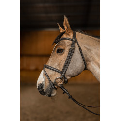 Cuerda Combinada Flex HFI Master Castaño Marrón Cuerda Combinada Flex HFI Master Castaño Marrón