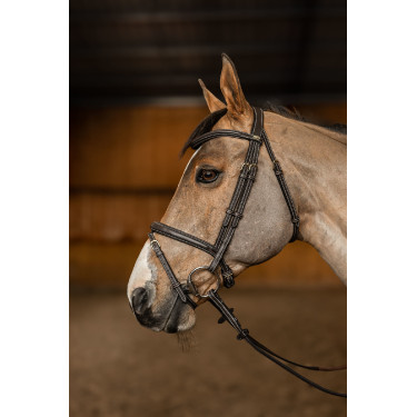 Cuerda Combinada Flex HFI Master Castaño Marrón Cuerda Combinada Flex HFI Master Castaño Marrón