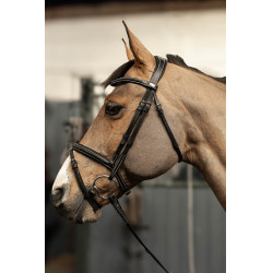 new Negro / plata new Negro / plata