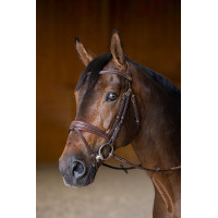 Brida Combinada Acolchada HFI Master Castaño Marrón