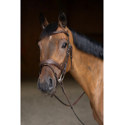 Brida Combinada Wavy HFI Master Castaño Marr&amp;oacute;n