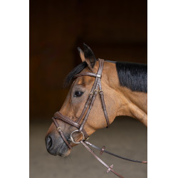 Brida Combinada Wavy HFI Master Castaño Marr&amp;oacute;n