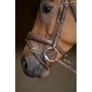 Brida Combinada Wavy HFI Master Castaño Marr&amp;oacute;n