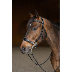 Hackamore HFI Master brida Hackamore HFI Master brida