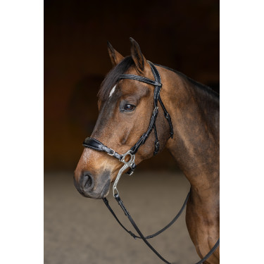 Hackamore HFI Master brida Hackamore HFI Master brida