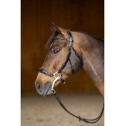 Hackamore HFI Master brida Hackamore HFI Master brida