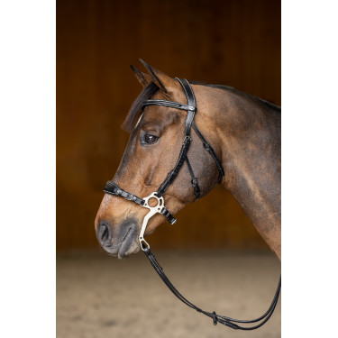 Hackamore HFI Master brida Hackamore HFI Master brida