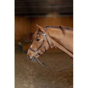 Hackamore HFI Master brida