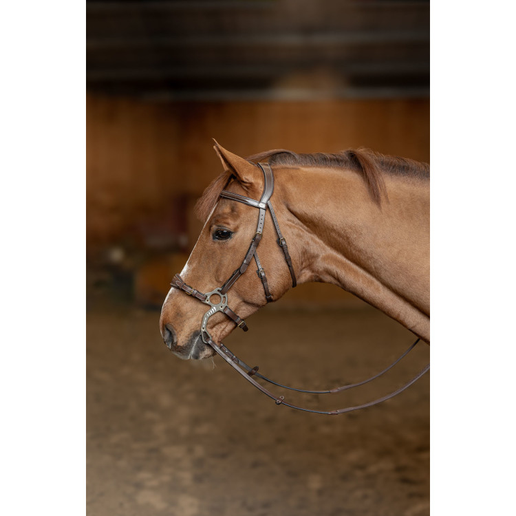 Hackamore HFI Master brida
