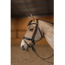 Brida Pull-back Verona HFI Master Pro Line