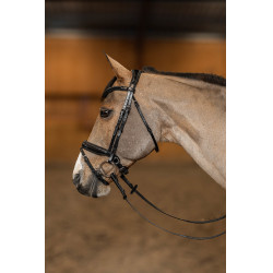 new Negro / plata new Negro / plata