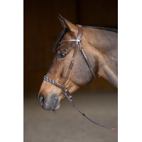 Brida sin bocado Freedom HFI Master Castaño Marrón