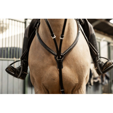 Pechopetral Arezzo HFI Master Pro Line