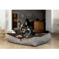 Cojín rectangular para perro HFI