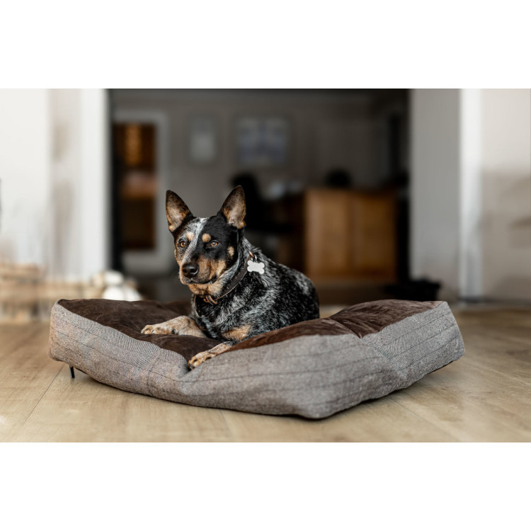 Cojín rectangular para perro HFI