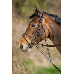 Gogue de cuero HFI Master Castaño Marrón