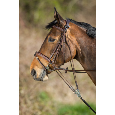 Gogue de cuero HFI Master Castaño Marrón