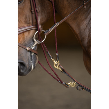 Gogue HFI Master Castaño Marrón