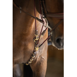 Gogue HFI Master Castaño Marrón