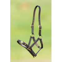 Cabezada de cuero HFI Master Castaño Marrón