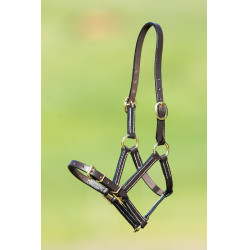 Cabezada de cuero HFI Master Castaño Marr&amp;oacute;n