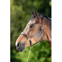Cabezada de cuero HFI Master costuras crema Castaño Marr&amp;amp;amp;oacute;n