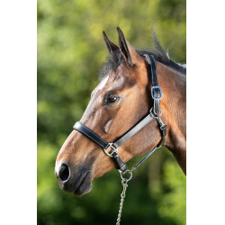 Cabezada de cuero HFI Master cuero doble ajuste