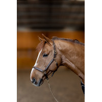 Cabezada de cuero Little Groom HFI Master Castaño Marr&amp;amp;amp;oacute;n