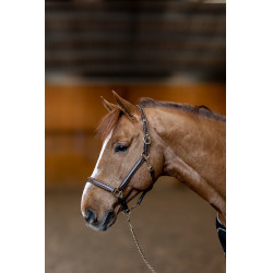 Cabezada de cuero Little Groom HFI Master Castaño Marr&amp;amp;amp;oacute;n