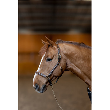 Cabezada de cuero Little Groom HFI Master Castaño Marr&amp;amp;amp;oacute;n