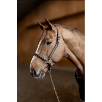 Cabezada de cuero Little Groom HFI Master Castaño Marr&amp;amp;amp;oacute;n