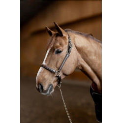 Cabezada de cuero Little Groom HFI Master Castaño Marr&amp;amp;amp;oacute;n
