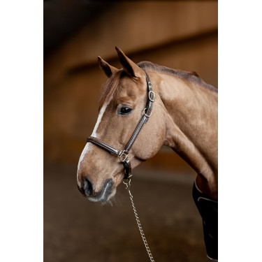 Cabezada de cuero Little Groom HFI Master Castaño Marr&amp;amp;amp;oacute;n